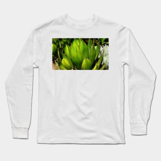 Succulent Long Sleeve T-Shirt